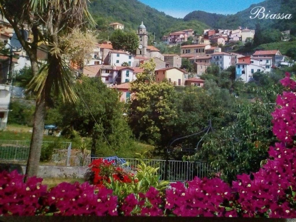 Casa Caterina Leilighet La Spezia Eksteriør bilde
